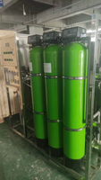 En stock RO-1000 Système de traitement de l'eau par osmose inverse à deux étages pour machine d'emballage de sachets liquides avec petite entreprise