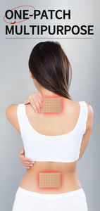 Produk Pereda Nyeri Ekstrak Capsaicin & Mugwort Terlaris 2026 untuk Pengelolaan Nyeri yang Efektif - Product Image 2