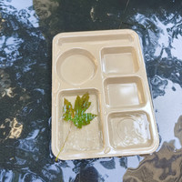 Plateau repas carré à 6 compartiments en fibre de coque de riz biodégradable pour l'école
