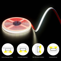Bande LED flexible en silicone SMD2835 en gros d'usine avec télécommande pour éclairage paysager DC24V 3000K-6000K IP67 étanche