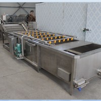 Ligne de production automatique de machine de remplissage d'emballage de sauce chili à la confiture de fraises et d'abricots