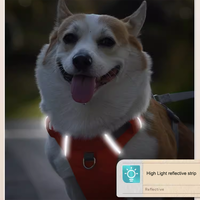 Prix usine rapide sur et hors sangles en polyester harnais pour chien en tissu Oxford bande réfléchissante 360 ° pour chiens
