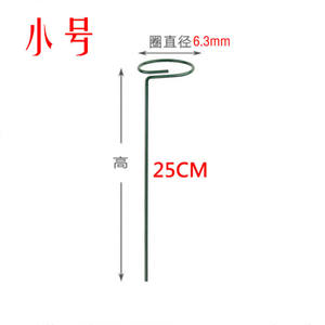 Support pour plantes d'intérieur <span class=keywords><strong>Amaryllis</strong></span> Orchidée Pivoine Tomate - Product Image 6