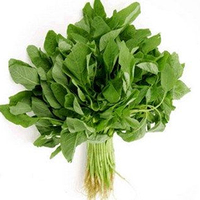 Espinaca de Crecimiento Rápido, Variedad de Cultivo 99% Pura, 85% de Germinación, Excelente Calidad de Hoja, para Productores Profesionales y Mercados Frescos