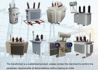 Transformateurs de distribution d'énergie triphasés immergés dans l'huile, résistance aux basses températures, 11 kV/33 kV, 300 kVA, 1000 kVA, 10 MVA