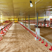 Équipement avicole automatique pour poules pondeuses, nouveau distributeur automatique de nourriture pour poulets U-Best, humide/sec, avec garantie d'un an