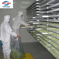 2026 Xinyang 100m² Fruit- en groente-vriesdroogmachine