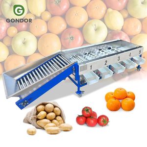 Machine de calibrage à tambour pour noix d'arec, champignons, papayes, mangoustans, grandes châtaignes, concombres, tomates, pommes de terre, pour le lavage - Product Image 1