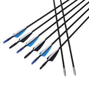 Flèches en fibre de verre 6 mm, lot de 12 pièces pour la pratique du tir à l'arc recurve - Product Image 2