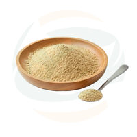 Poudre d'extrait pur d'angélique de Chine – Ingrédient végétal naturel pour les formulations de compléments nutritionnels et à base de plantes
