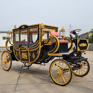Nouvelle Voiture Électrique de Tourisme en Acier à Vitesse Légère, Certifiée CE, Noire Royale, à Vendre - Product Image 4