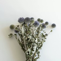Fleurs décoratives, nouveau style, fleurs séchées, fleurs préservées, Blue Planet, 20-25 têtes de fleurs pour décoration de mariage et de maison