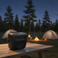 Haut-parleur portable double 6,5 pouces pour extérieur, home cinéma, stéréo, basses profondes, karaoké, 800 mAh, RGB 5.0, sortie 20W intégrée