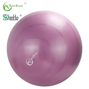 Zhenzheng-pelota de equilibrio para gimnasio, pelota de yoga de estabilidad grande