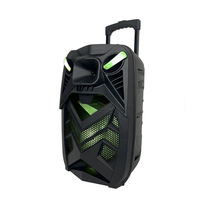 Sistema de Karaoke Inalámbrico 5.0 con Woofer de 12 Pulgadas, Micrófono Incorporado, Control Remoto, Luces LED RGB, Reproductor de Audio Portátil de 20 W, Altavoz para Exteriores 2