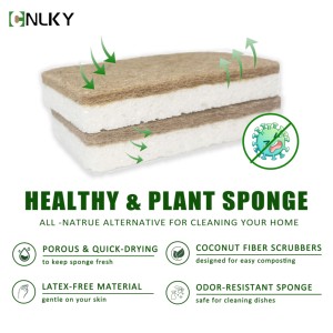 Éponge à vaisselle biodégradable en fibre de coco naturelle, durable, non-abrasive, pour le nettoyage de la cuisine - Product Image 5