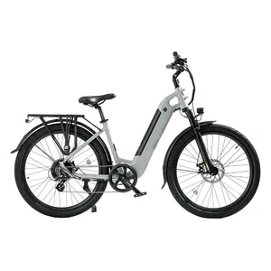 Estilo femenino estándar ebike 26 pulgadas aleación 36V 350W Holanda señora adultos bicicleta urbana mujer damas e Bicicleta Eléctrica Ciudad e-bikes