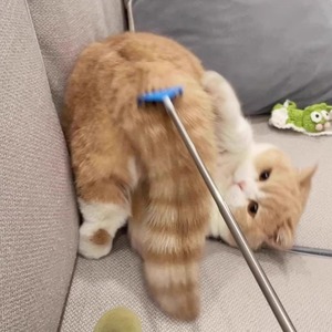 Cat Teaser Extendable Scratch Massager Long Handle Interactive Pet Toy For Cats Boredom Buster Solid Plastic QW2745 - Product Image 1