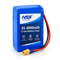 Batterie Li-ion rechargeable 3S 11.1V 4000mAh pour outils électriques, appareils portables et stockage d'énergie, connecteur personnalisé disponible