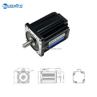 Moteur à courant continu à aimant permanent certifié CE BeUDMKE 12V 24V 36V 48V 75W 150W 200W 3000 tr/min AMR BLDC