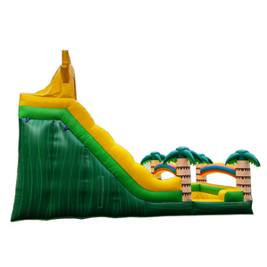 Chất lượng tốt nhất PVC dành cho người lớn kích thước Inflatable trượt nước - Product Image 3