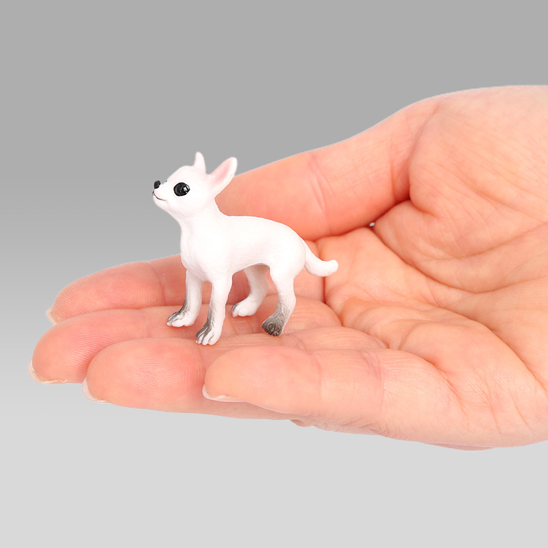 2589 Perro Chihuahua