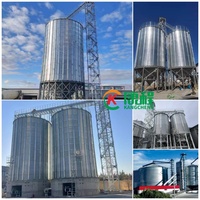 Grand silo de stockage de céréales en acier galvanisé de 3000 tonnes, entrepôt de stockage de blé, réservoir