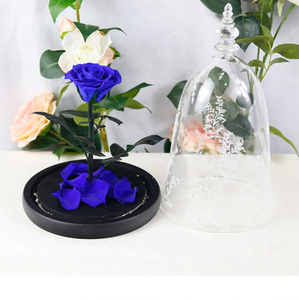 Rose éternelle <span class=keywords><strong>La</strong></span> <span class=keywords><strong>Belle</strong></span> <span class=keywords><strong>et</strong></span> <span class=keywords><strong>la</strong></span> Bête en dôme de verre, qualité supérieure, prix usine - Product Image 4