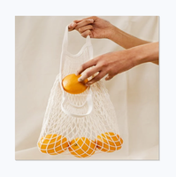 Fruitgroente Boodschappentas Netto Gaaszak