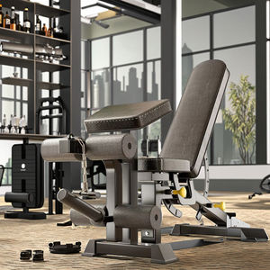 Banco de Ejercicios Multifuncional Ajustable, Silla de Ejercicios, Banco de Pesas Sentado, Asiento para Ejercicios Musculares - Product Image 1