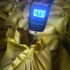 Hochwertiges rohes Golderz Unexpandiertes expandiertes grobes Vermiculit für Pflanzen Forsmans - Product Image 3