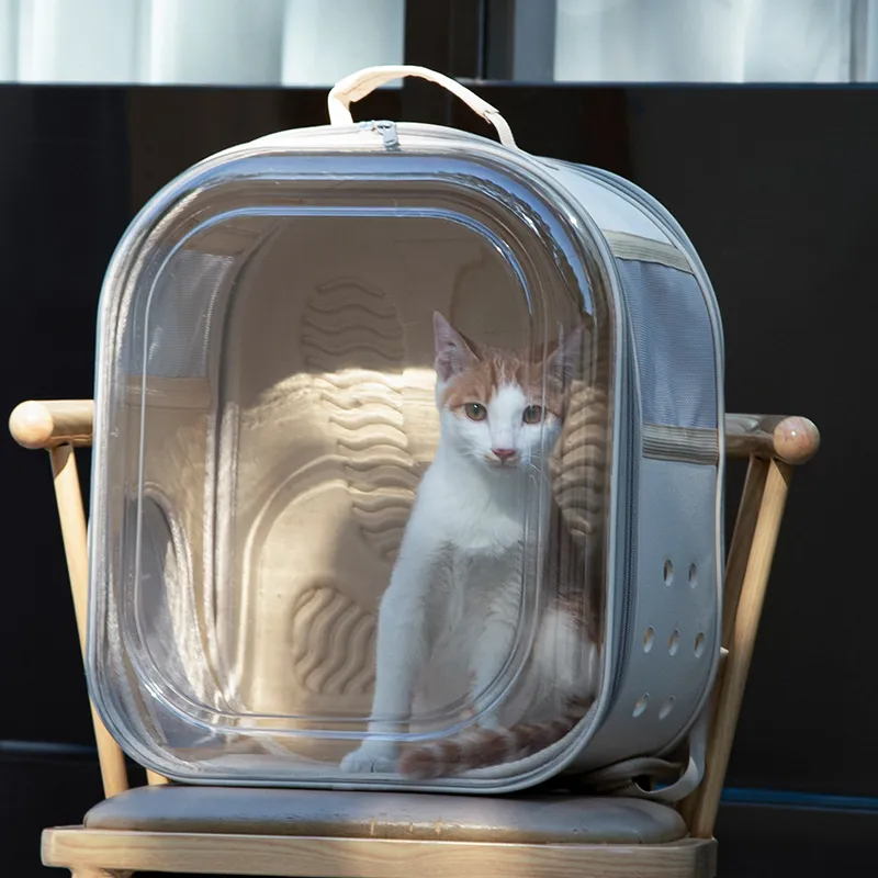 고양이와 강아지를위한 휴대용 통기성 투명 대형 애완 동물 캐리어 배낭