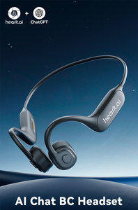 CES 2025 New Trend Chatgpt4 TWS Wireless Waterproof With Multilingual Translation Translating <b>Microphone</b> - Product Image 2