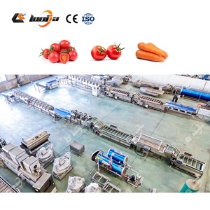 Línea Automática de Lavado y Secado de Tomates <span class=keywords><strong>Cherry</strong></span> de 2000 kg/h, Máquina Industrial de Limpieza de Frutas, Lavadora de Vegetales por Burbujas - Product Image 3