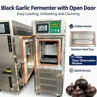 Machine de Fermentation d'Ail Noir à Faible Bruit et Circulation d'Air Silencieuse pour un Espace de Traitement Alimentaire Propre