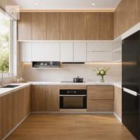 Cuisine Moderne Personnalisée XINGRUO en Contreplaqué Écologique avec Design Graphique et Solution de Modélisation 3D pour Villa et Appartement