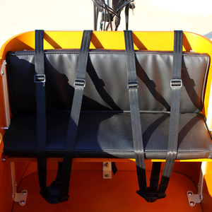 Tricycle électrique familial certifié CE, conforme aux normes européennes, en promotion, pour quatre enfants, quatre <span class=keywords><strong>places</strong></span>, avec panier de transport. - Product Image 4