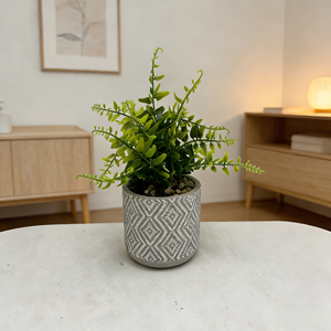 Jardinière <span class=keywords><strong>en</strong></span> ciment à motifs avec fougère artificielle - Décoration intérieure minimaliste - Product Image 1