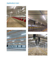 Éclairage professionnel pour volailles, sans scintillement, étanche IP67, lampes LED pour poulets, tube LED rouge et blanc avec interrupteur