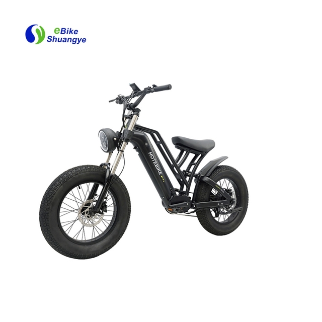High Power Electric Bicycle Electric City Bike 48v Ebike 20 Inch 7 Speed Electric Bicycle Usa