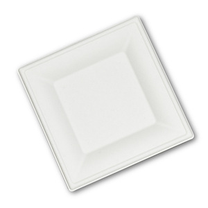 Assiettes carrées jetables biodégradables compostables écologiques blanches pour fêtes, mariages, plats à emporter, camping - Product Image 4
