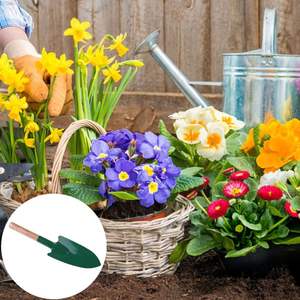 Pelle de jardin en bois à manche, petite pelle pointue, mini-outils spéciaux pour plantes en pot, vente en gros - Product Image 5