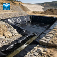 Géomembrane HDPE 1 mm, haute résistance à la déchirure, forte durabilité, anti-UV, écologique, imperméable, pour bassin à poissons, ferme d'élevage de crevettes