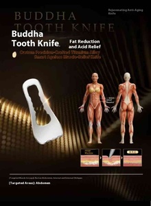 Appareil de beauté portable anti-âge avec 8 têtes de traitement, raffermissant la peau, relaxant les muscles, apaisant le corps, massage corporel - Product Image 5