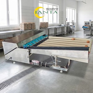 เครื่องคัดแยกไข่อัตโนมัติขนาดกะทัดรัด สแตนเลส 2000 ฟองต่อชั่วโมง พร้อมระบบชั่งน้ำหนักดิจิตอล 220V - Product Image 2