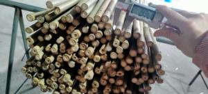 All'ingrosso canne/pali/pali/pali di bambù crudi pali di bambù canne di bambù giganti partizioni di bambù decorazione e costruzione della casa - Product Image 4