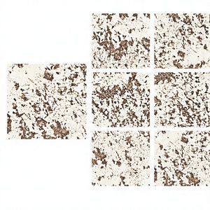 Precioso mármol 800x800mm Porcelana 80x80cm Azulejos esmaltados Foshan Bolivia - Product Image 1