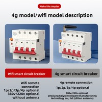 Disjoncteur intelligent 4G 6kA bipolaire Graffiti avec contrôle à distance Wi-Fi pour téléphone portable, interrupteur temporisé pour pompe à eau