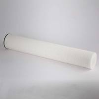 Cartouche filtrante à membrane de charbon actif de 30 pouces pour les systèmes de traitement de l'eau industriels et commerciaux