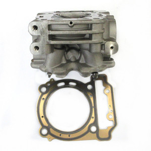 Conjunto de Cabeza de Cilindro para Commander, Renegade, <span class=keywords><strong>OUTLANDER</strong></span>, Maverick 1000, TRAXTER HD5, HD10, <span class=keywords><strong>Outlander</strong></span> 450, ODES 1000, 420623064, 420413106 - Product Image 6